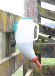 Pellet Starter Feeder for Calves