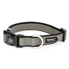Premium Sport Dog Collar with Neoprene - XLarge-Silver-X Small
