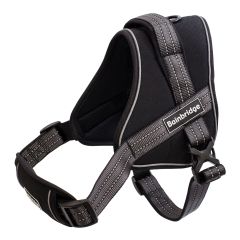 Sport Harness Adjustable Padded - Various Sizes -Large