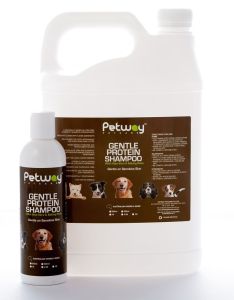 Petway Gentle Protein Shampoo -500mL