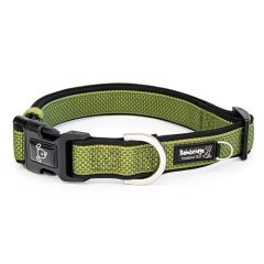 Premium Sport Dog Collar with Neoprene - XLarge-Green-X Large