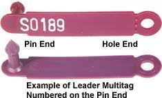 40709_12147