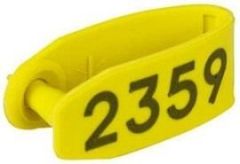 40515_12350