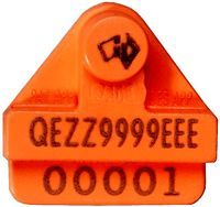 40676_12213