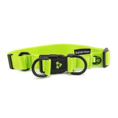 Nylon Double Ring Dog Collar Premium-Green-Large
