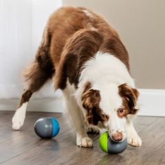 Petsafe Ricochet Electronic Dog Toy