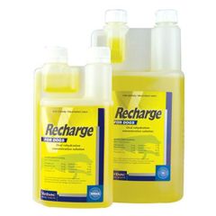 Virbac Recharge for Dogs 500ml