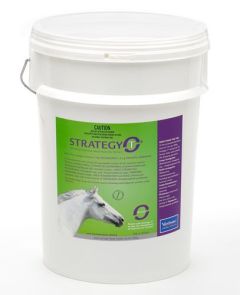 Virbac Strategy T Stable Pail 60 Tubes
