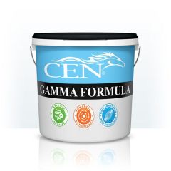CEN Gamma Formula 2lt