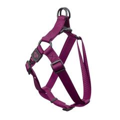 Nylon Step in Harness Premium-Purple-Medium