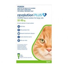 Revolution Plus Large Cat Green 6 Pack 5.1-10kg