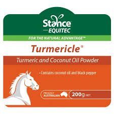 Equitec Turmericle Powder -200g