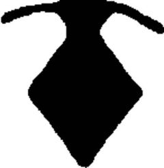 40252_12667