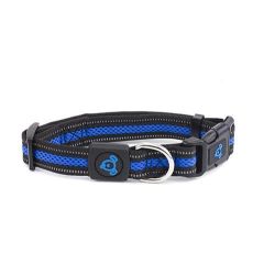 Double Layer Reflective Mesh Collar-Blue-Large