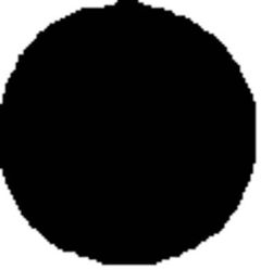 40284_12636