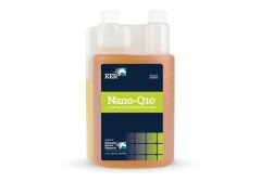 Kentucky Nano - Q10 450ml