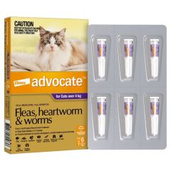 Advocate Cat Over 4Kg 6 Pack