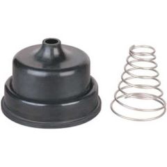 Hansen Valve Repl´t Spring &amp; Diaph 25mm - 63mm-63mm