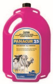 Panacur 25 Drench for Sheep & Goats 5L