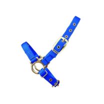 Hamilton Sheep Halter Royal Blue