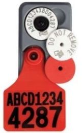 Allflex White Breeder Tags with MAXI Management Tags