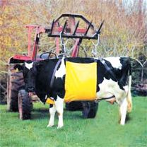 Bainbridge Supreme Cow Lifter Extra Large Size