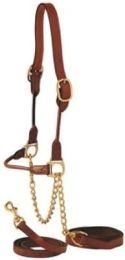 Medium Brown Cow Leather Show Halter