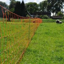 Electric Netting for Sheep, Goat, Calf and Free Range Pigs