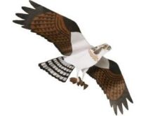 OSPREY JACKITE