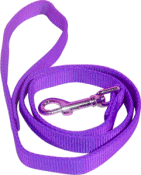 Purple Nylon Calf Halter Lead