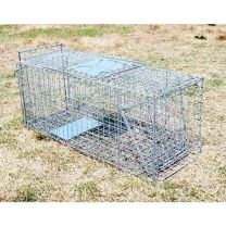 Possum and Cat Trap