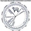 Gestation Calendar for Ewe