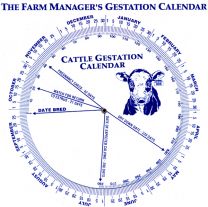 Cow Gestation Calendar