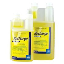 Virbac Recharge For Dogs 1L