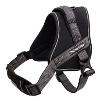 Sport Harness Adjustable Padded - Various Sizes -Small