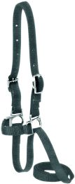 Sheep Show Halter Leading Royal Blue