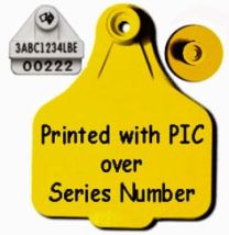 Leader White Breeder HDX NLIS Tags with Size 3 Management Tags