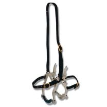 Speculum Mouth Gag