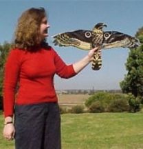 HAWK BIRD SCARER