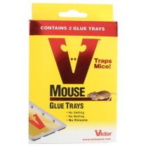 Bainbridge Mouse Glue Boards 4 Pack