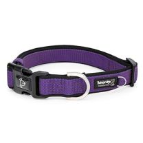 Premium Sport Dog Collar with Neoprene - XLarge-Purple-Small