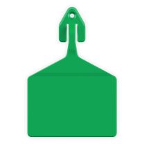 Leader Q1 Feedlot One Piece Cattle Tag Blank
