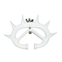 Cattle Weaner Small White