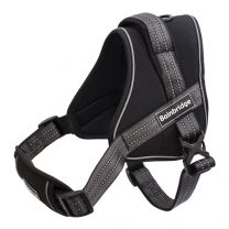 Sport Harness Adjustable Padded - Various Sizes 