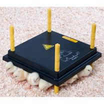 Comfort 13 Watt Chick Warmer / Brooder Heating Plate 25cmx25cm