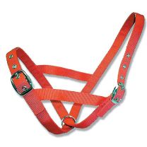 Cattle Halter Webbing Cow, Optional Colours