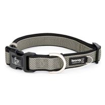 Premium Sport Dog Collar with Neoprene - XLarge-Silver-Small