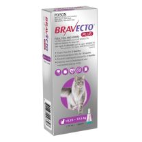 Bravecto Plus Cat 6.25-12.5kg Purple