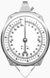 10kg Capacity Dial Hanging Scale
