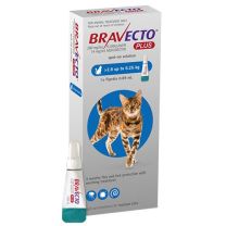 Bravecto Plus Cat 2.8-6.25kg Blue